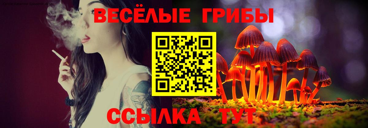 Псилоцибиновые грибы MAGIC MUSHROOMS Углич